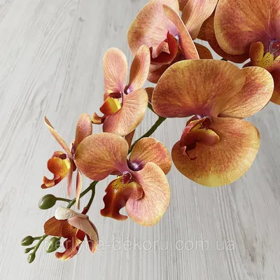 Искусственная орхидея фаленопсис оранжевая VF 041 (ID#1565810754), цена:  166 ₴, купить на Prom.ua
