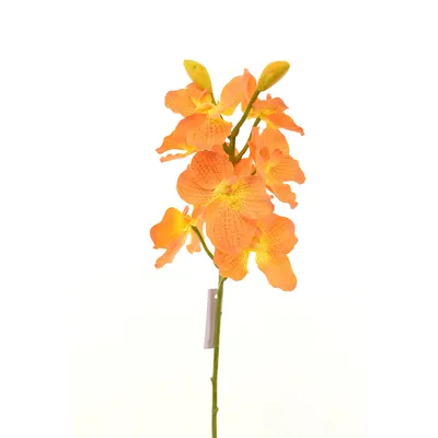 Орхидея Ванда оранжевая 68 см