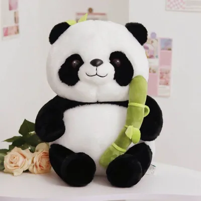 Miki Rhythm Dancer '115' Phal Charming Panda '1224' - YouTube