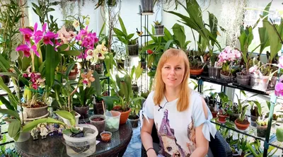 Орхидея: уход в домашних условиях, пересадка и размножение | ivd.ru