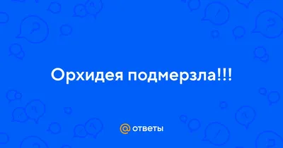 Орхидея Фаленопсис - «Мои самые любимые цветы, как ухаживать за мечтой» |  отзывы