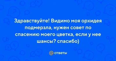 Реанимация орхидей, как реанимировать орхидею в домашних условиях. Спасаем,  оживляем, реанимируем пропавшее растение. Все об уходе и причинах увядания  цветка.