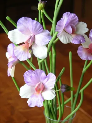 Купить композицию из орхидей \"Наина\" в Москве