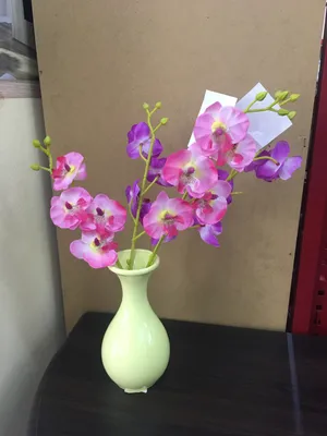 Купить орхидею \"Фламинго\" в Москве с доставкой
