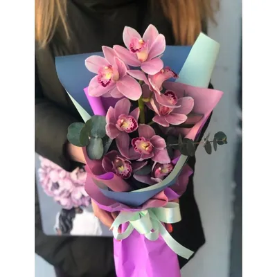 Орхидея Цимбидиум Микс купить в Москве с доставкой в интернет магазине Pilea