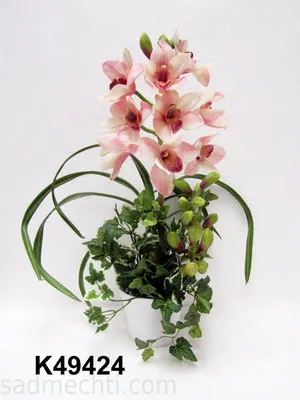 Орхидея \"цимбидиум\",в прозрачном …» — создано в Шедевруме
