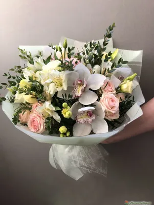 Орхидея Cymbidium (отцвел)