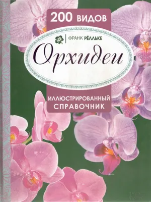 ОРХИДЕЯ в ГОРШКЕ, фаленопсис | жене, в день рождения, на юбилей | цветы  плюс.рф | СВЕЖИЕ модные букеты и подарки