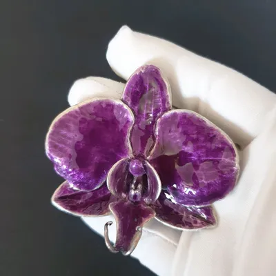 Орхидея Phalaenopsis (отцвёл)
