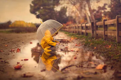 Осенний дождь грусть: фотографии с эмоциональным настроем