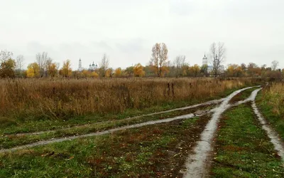 Осенний дождь. | Ирина Расшивалова для Вас | Дзен