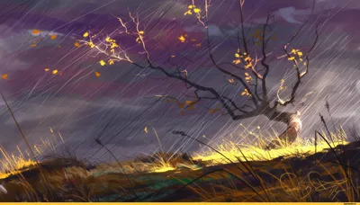 Купить картина по номерам Красиво Красим Осенний Дождь, 50 х 70 см, цены на  Мегамаркет | Артикул: 600003851045