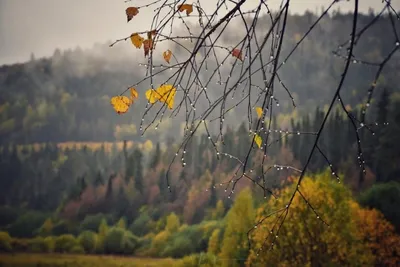 Осенний дождик рисунки - 72 фото