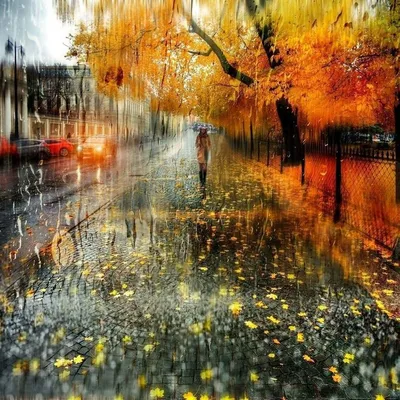 aesthetic #осень #дождь | Осень, Дождь