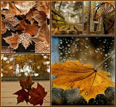 Кленовые листья, осень, дождь, ночь…» — создано в Шедевруме
