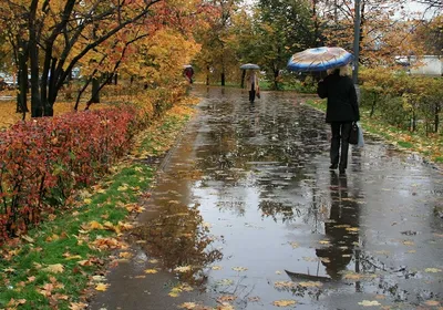 Погружение в омут осеннего дождя: фотоотчет