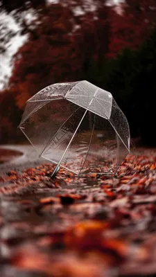 Фото Осень дождь: путешествие сквозь тучи