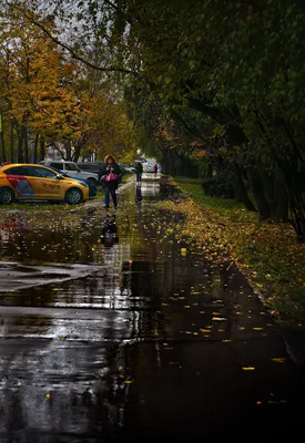 Фото Осень дождь: вихрем окружений красоты