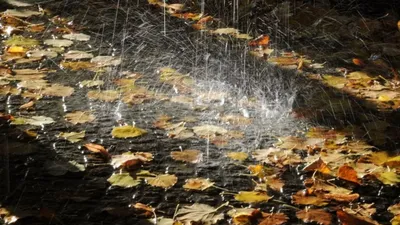 Осень дождь: фотоистории о сезоне перемен