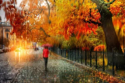 Фото Осень дождь: украсьте экран яркими впечатлениями