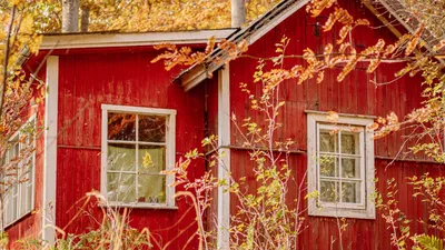 Обои дома, окна, деревья, ветки, осень картинки на рабочий стол, фото  скачать бесплатно