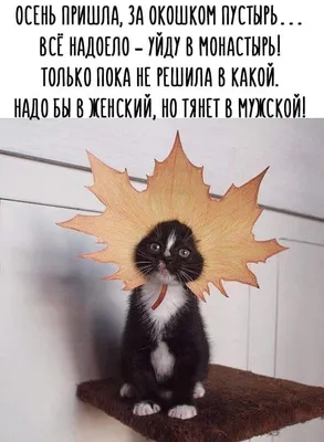 Николай - 😀#юмор #осень #планы #деньги #я | Facebook