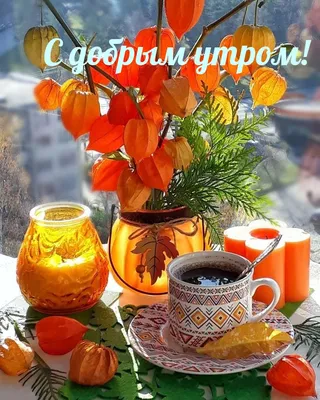 Доброе осеннее утро!🍁 | Красные арты, Осень, Природа