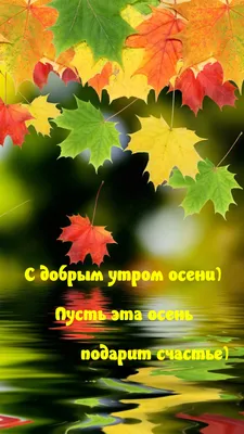 доброеутро #сдобрымутром #утро #fyp #музыка #осень #добро | TikTok