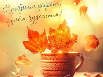 🍁 ⛅ ☕ Картинки С добрым осенним утром - скачать (240 шт.)