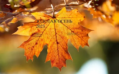 Лучшие осенние фильмы с атмосферой: эстетика кино, которое влюбляет в осень  – Wink Блог
