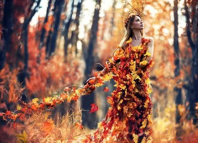 картинки осень природа ????subscribe Pinterest: piroz_zhok  #autumnphotography картинки осень природа ????subscrib… | Autumn scenery,  Autumn landscape, Autumn scenes
