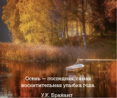 Осень 🍂🍁 | Осень, Эстетика, Разное
