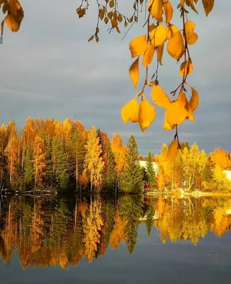 Красивейшая природа, осень в городе Стоковое Фото - изображение  насчитывающей «волга», перемещение: 26891052