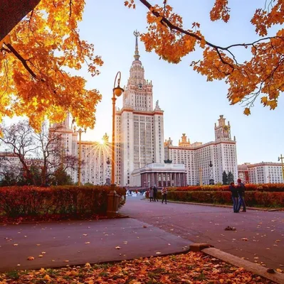 Москва | Фотографии | Галерея | Золотая осень