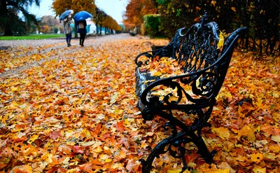 КРАСИВЫЕ КАДРЫ on Instagram: \"Добрый вечер, друзья! 🍁🍂🍁 Золотая осень в  Москве. 🍁🍂🍁 Больше красивых фото по ссылке в профиле. Благодарим  @andrey_rat… | Картины пейзажа, Пейзажи, Осень