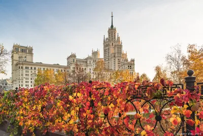 Осень в москве фотографии