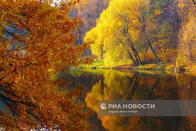 Золотая осень в Москве