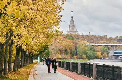 Золотая осень в Москве #стихи | Аргуновская. Стихи | Дзен