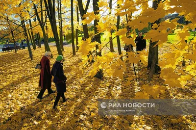 Агентство городских новостей «Москва» - Фотобанк