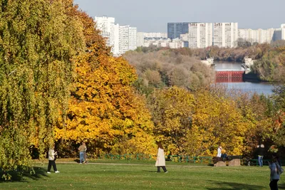Осень в Москве | РИА Новости Медиабанк