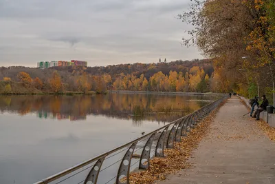 Агентство городских новостей «Москва» - Фотобанк