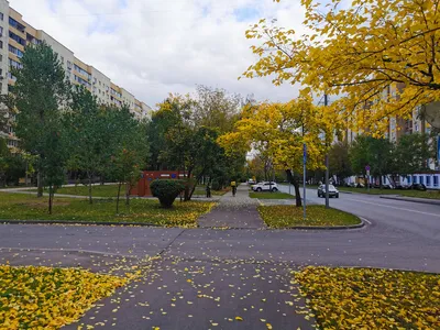 Золотая осень в Москве Кремле Стоковое Изображение - изображение  насчитывающей индийско, день: 128927831