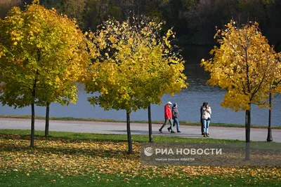 Золотая осень в Москве стоковое изображение. изображение насчитывающей  ландшафт - 34469869