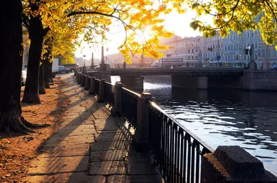 Санкт-Петербург - Золотая осень в парках Петербурга🍂 | Facebook