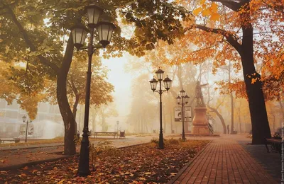 Брянцы смогут посмотреть на золотую осень в Санкт-Петербурге | РИА «Стрела»