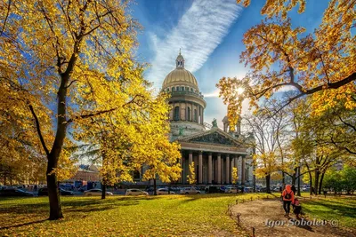 Осенний парк в Санкт-Петербурге | Пикабу