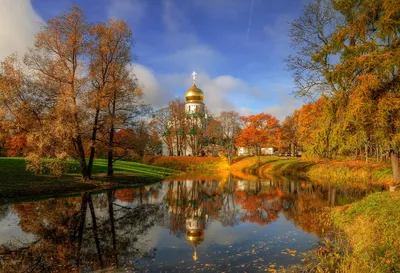 Осень в Питере (Дмитрий Глубшев) / Стихи.ру