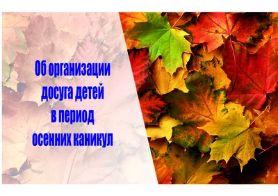 Мастер-класс «Осенний пейзаж» (из осенних листьев) (12 фото). Воспитателям  детских садов, школьным учителям и педагогам - Маам.ру