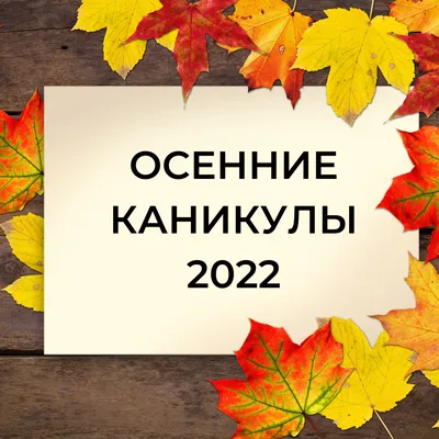 Осенние прогулки: как влияют на физическое и психическое здоровье