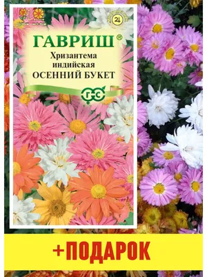 Букет хризантем \"Осенний\". Доставка цветов в Рязани - Вальс Цветов